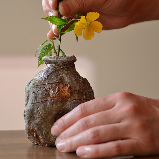 信楽小蹲 作家「藤本秀」