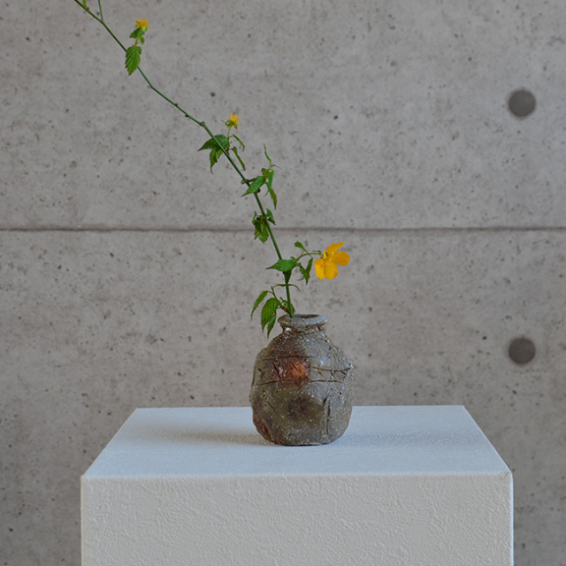 信楽小蹲　作家「藤本秀」
