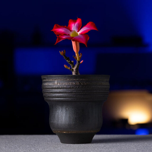 花器 | 黒鳴植木鉢 (MOT-006) 作家「田中元将」