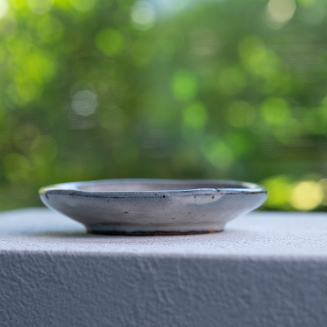 粉引丸小皿（RH-069） 作家「林隆一郎」