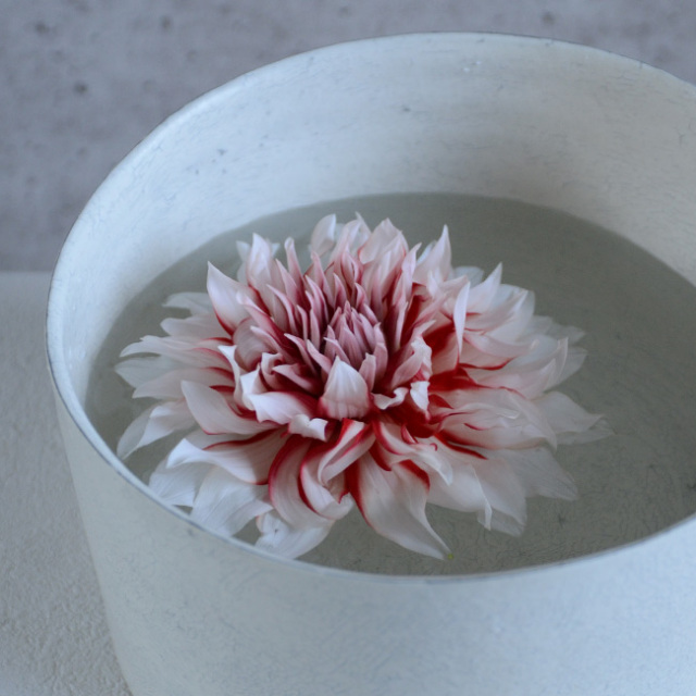 White Vase Bowl 筒鉢　　作家「横山拓也」 