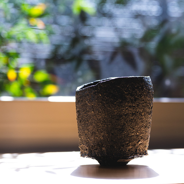 茶碗　陶芸家　横山拓也