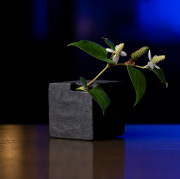 黒土花器 (KT-286)　作家「竹内紘三」