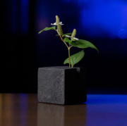 黒土花器 (KT-289)　作家「竹内紘三」