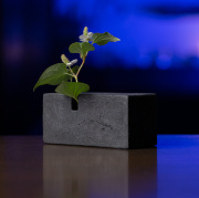 陶芸家 竹内紘三さんの作品をお探しなら【公式】Artshop Gallery