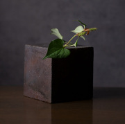 丹波焼 陶芸家 清水万佐年の作品なら【公式】Artshop Gallery