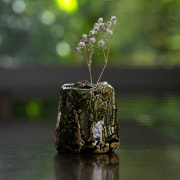 陶芸家　金本卓也