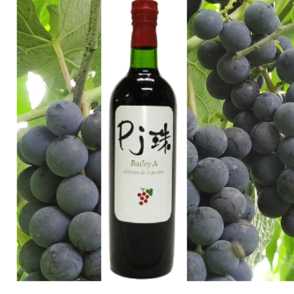 １００％ピュアジュースベリーA