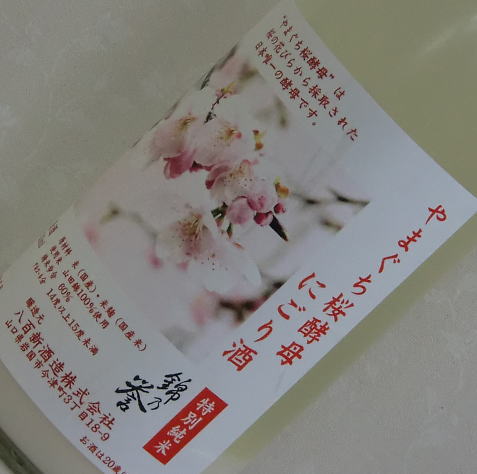 やまぐち桜酵母　にごり酒