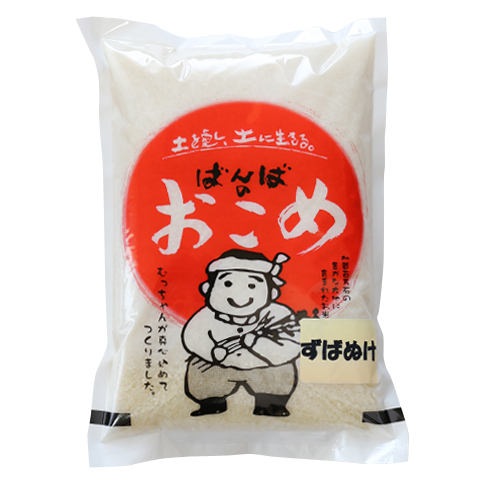 ずばぬけ（コシヒカリ）　白米2kg