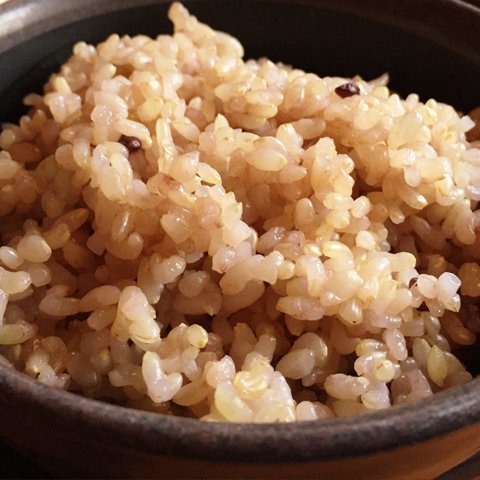 安心安全のお米なら：農薬を使わないコシヒカリ（特別栽培米） 玄米2kg