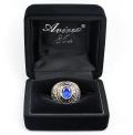 Ring VASSER WEB