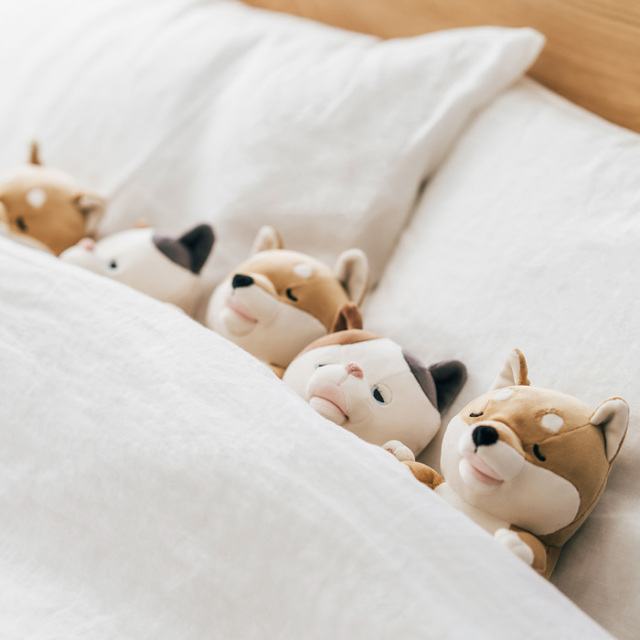 甘噛みハムハム あまーく、かまれる、新体験。| ヒューマンアカデミー