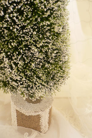 クリスマスツリー