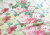 WORLD FABRICS 英国輸入生地Sanderson（サンダーソン）　スティプレトンパーク12