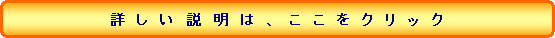 詳しい説明