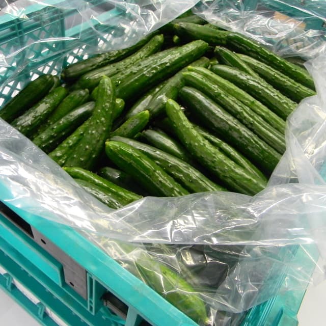 オーラパック大袋10282規格品/500枚入 野菜の袋やさん ベジパケ