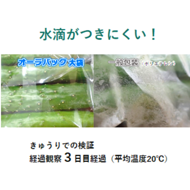 オーラパック大袋10282規格品/500枚入 野菜の袋やさん ベジパケ