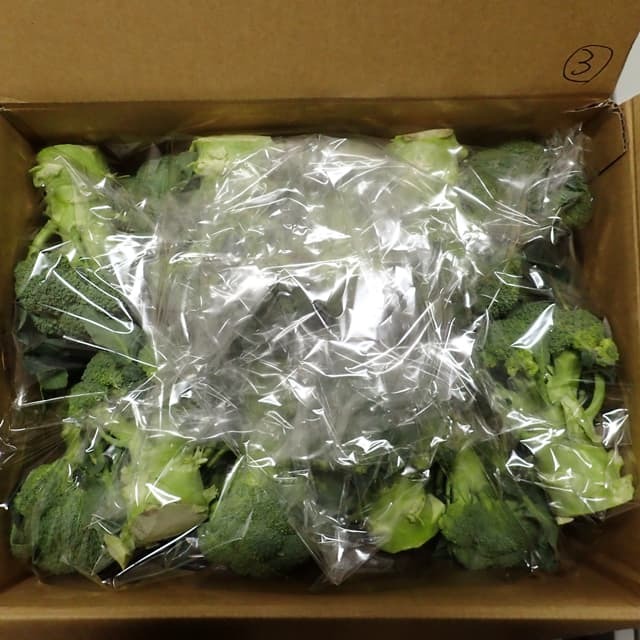 オーラパック大袋7663規格品/500枚入 野菜の袋やさん ベジパケ