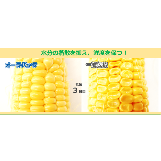 やみつきとうもろこしの袋 オーラパックとうもろこし2本用規格品 野菜の袋やさん ベジパケ