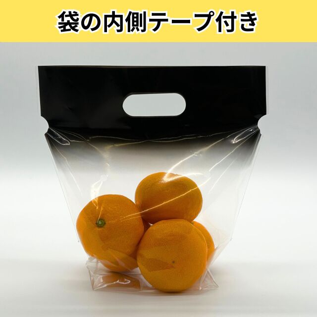 ぴたパック黒2021