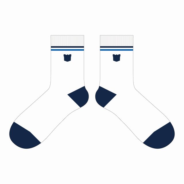 ヴァンくんシルエット刺繍ソックス