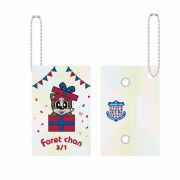 オーロラマルチケース