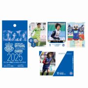 オフィシャルトレーディングカード