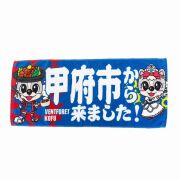 【新品未使用】ヴァンフォーレ甲府　ウィンドブレーカー　XLサイズ ヴァンフォーレ甲府ウィンドブレーカー上下セット XL