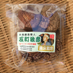 反町さんの乾燥シイタケ25g(丸)