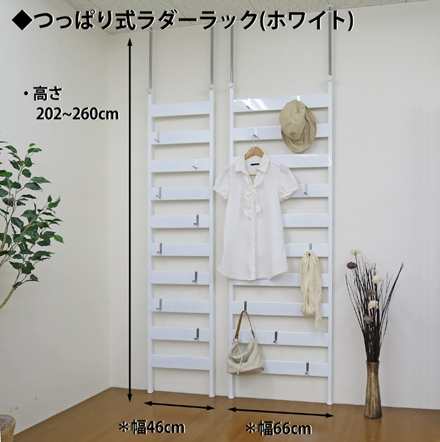 つっぱりラダーラック 幅65cm （フック4個付き）