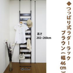 つっぱりラダーラック 幅45cm （フック4個付き）