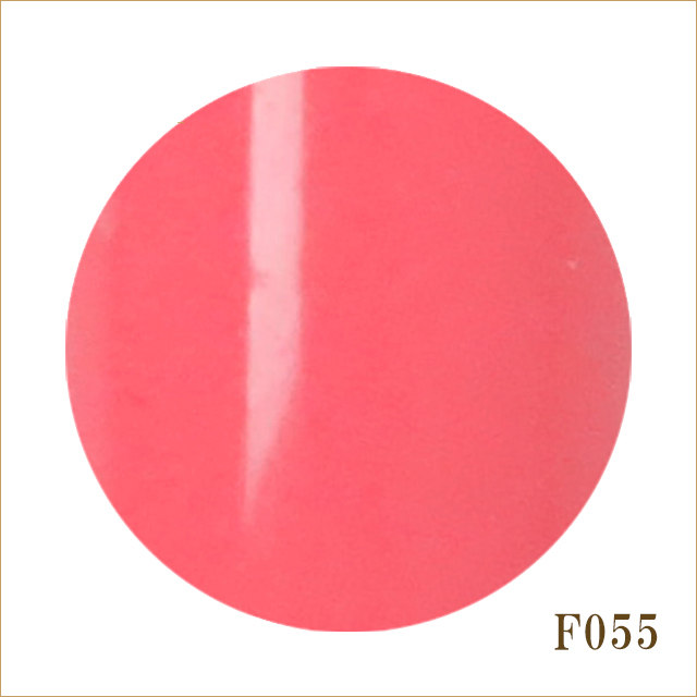 F055　カーネーション