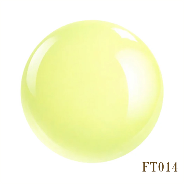 FT014B　フリック