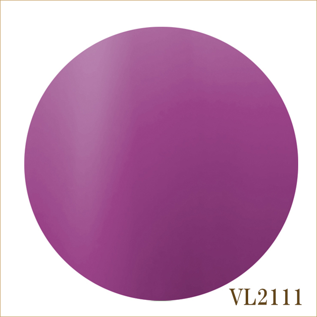 VL2111　アメジスト　takiko先生