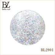 BL2901B　ブリエシルバー