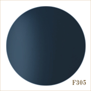 F305　メモリー