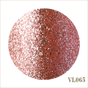 VL065　プライスレス