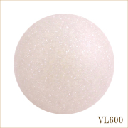 VL600　エコー