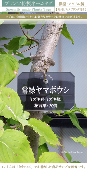 《 植物・樹木の名札 》プランツ特製ネームタグ 横型  【 取付け用スプリング付き 】アクリル製