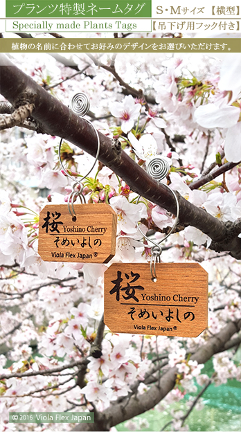 《 植物・樹木の名札 》プランツ特製ネームタグ 横型  【 吊下げ用フック付き 】 チーク製