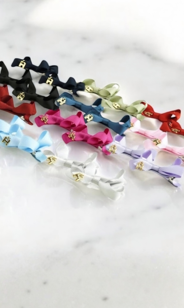 [期間限定販売]【ハニービジュー(THE HANY Bijoux)】リュバンクリップ S/2個セット