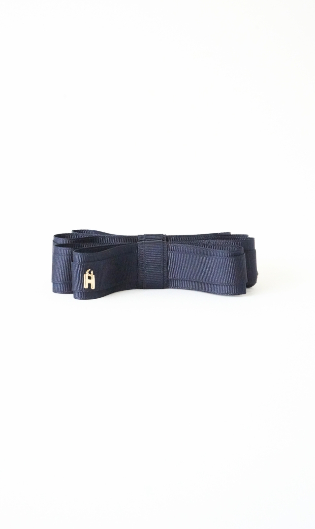 [期間限定販売]【ハニービジュー(THE HANY Bijoux)】VIRINA別注カラー/ロングバナナクリップ ミニ(ネイビー）