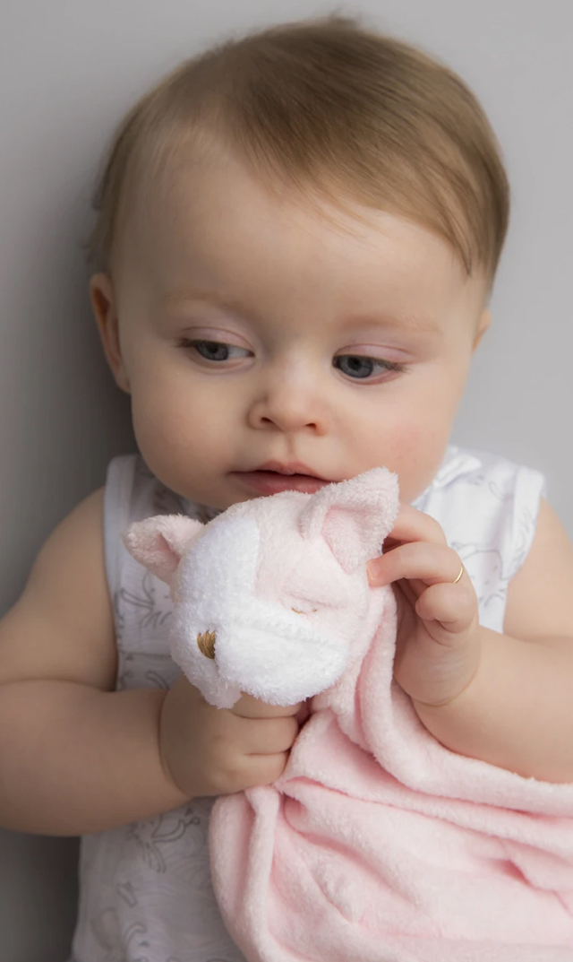 【エンジェルディア】ブランキー（ブルドッグピンク）