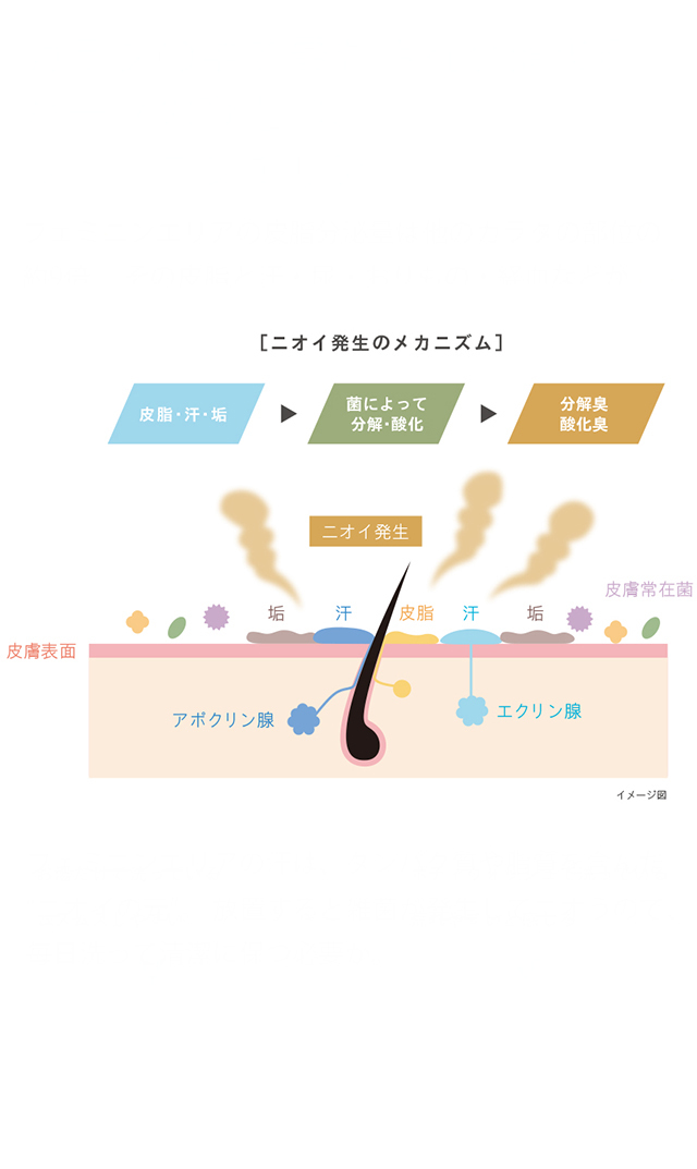 シンプリス】セシュアル フェミニン デオウォッシュ160ml