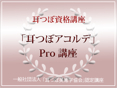 耳つぼアコルデPro講座　8月24日（日）午前10時　茅ヶ崎開催