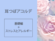 耳つぼアコルデ 動画講座 初回セット「基礎編」＋「ストレスとアレルギー」
