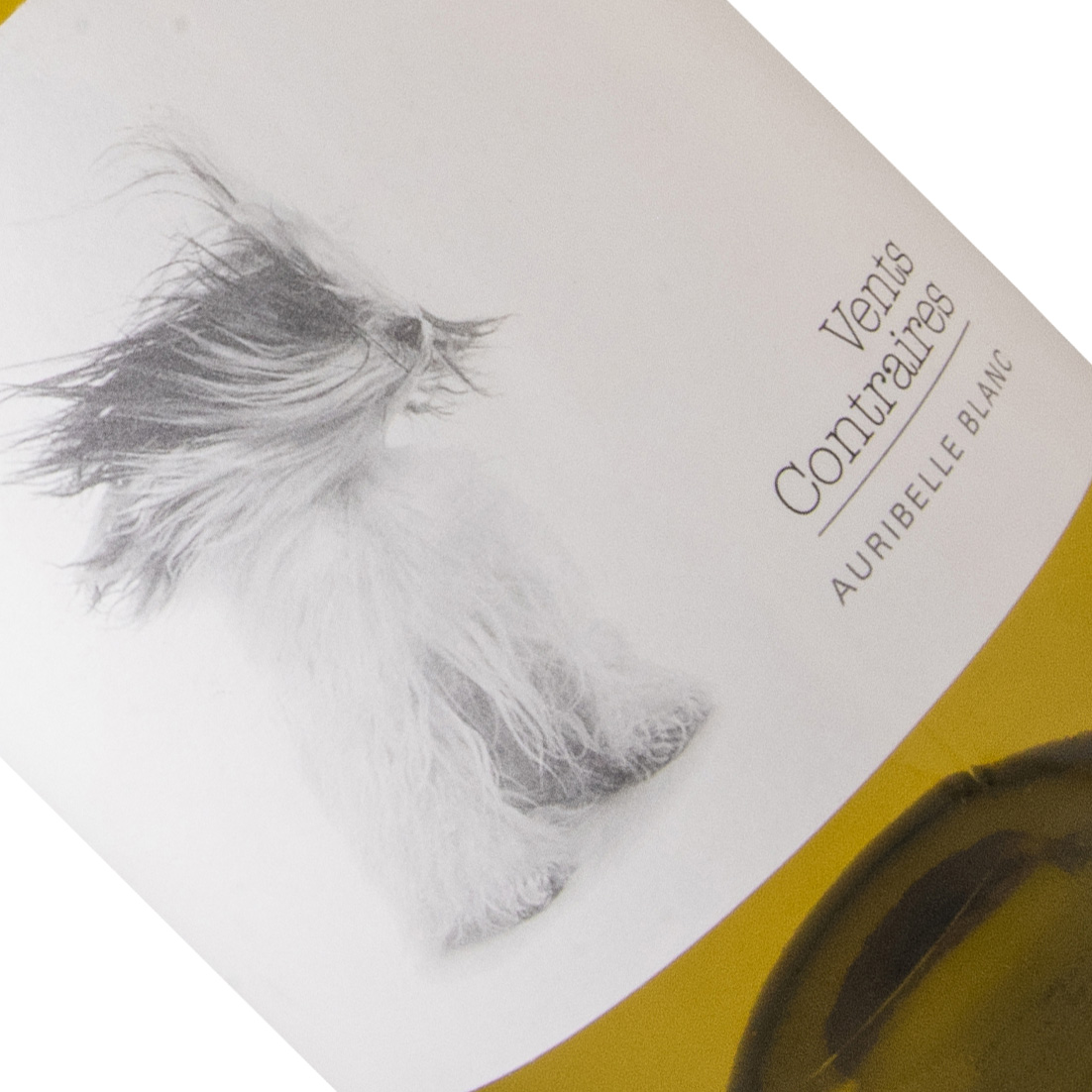 ドメーヌ ド フォンドゥース ヴァン コントレール オリベール ブラン 19