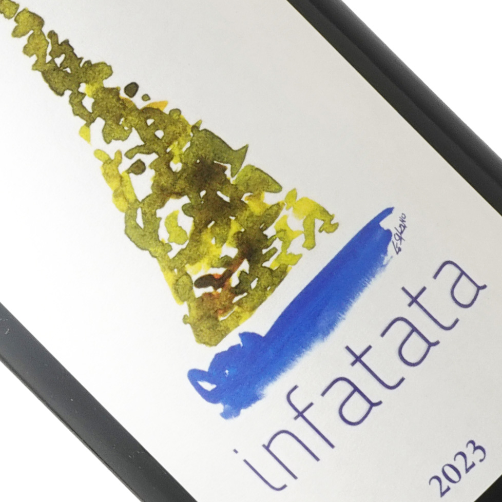 カラヴァリオ / インファタータ [2023]