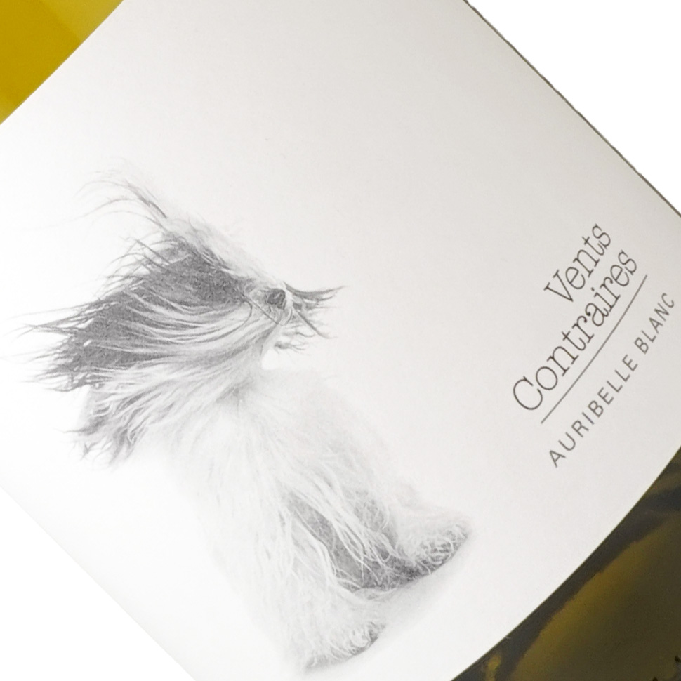 ドメーヌ・ド・フォンドゥース / ヴァン・コントレール・オリベール・ブラン [2022]